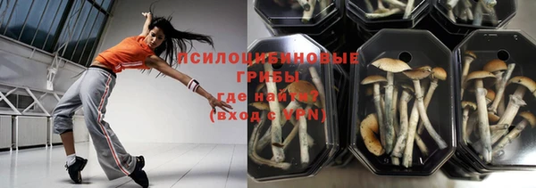 шишки Заводоуковск