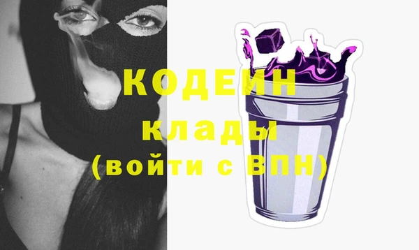 шишки Заводоуковск