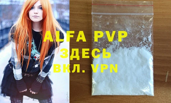 шишки Заводоуковск
