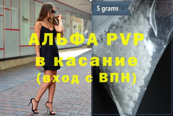 шишки Заводоуковск