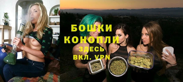 шишки Заводоуковск