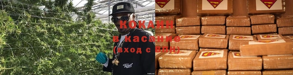 трава Заволжск