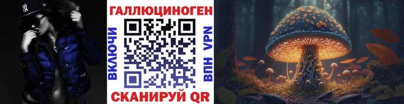 Псилоцибиновые грибы мицелий  Купить где  Чегем 